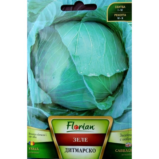 Зеле Дитмарско ранно Зеле Дитмарско ранно