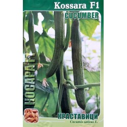 Краставици Косара F1