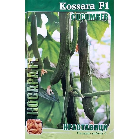 Краставици Косара F1