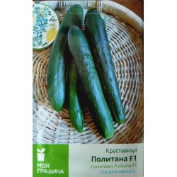 Краставици Политана F1