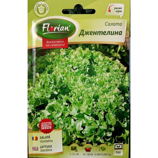 Салата Джентилина / Gentilina