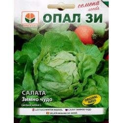 Салата Зимно чудо