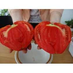 Домати Алено сърце - оригинална опаковка ИЗК Марица