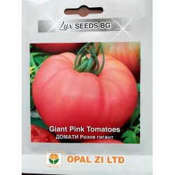 Домати Розов гигант / Gigant Pink - ОПАЛ ЗИ