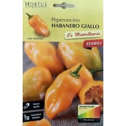 Пипер Хабанеро жълти / Habanero Giallo