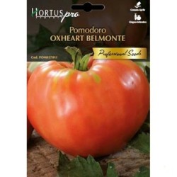 Домати Белмонте /  Belmonte - Hortus